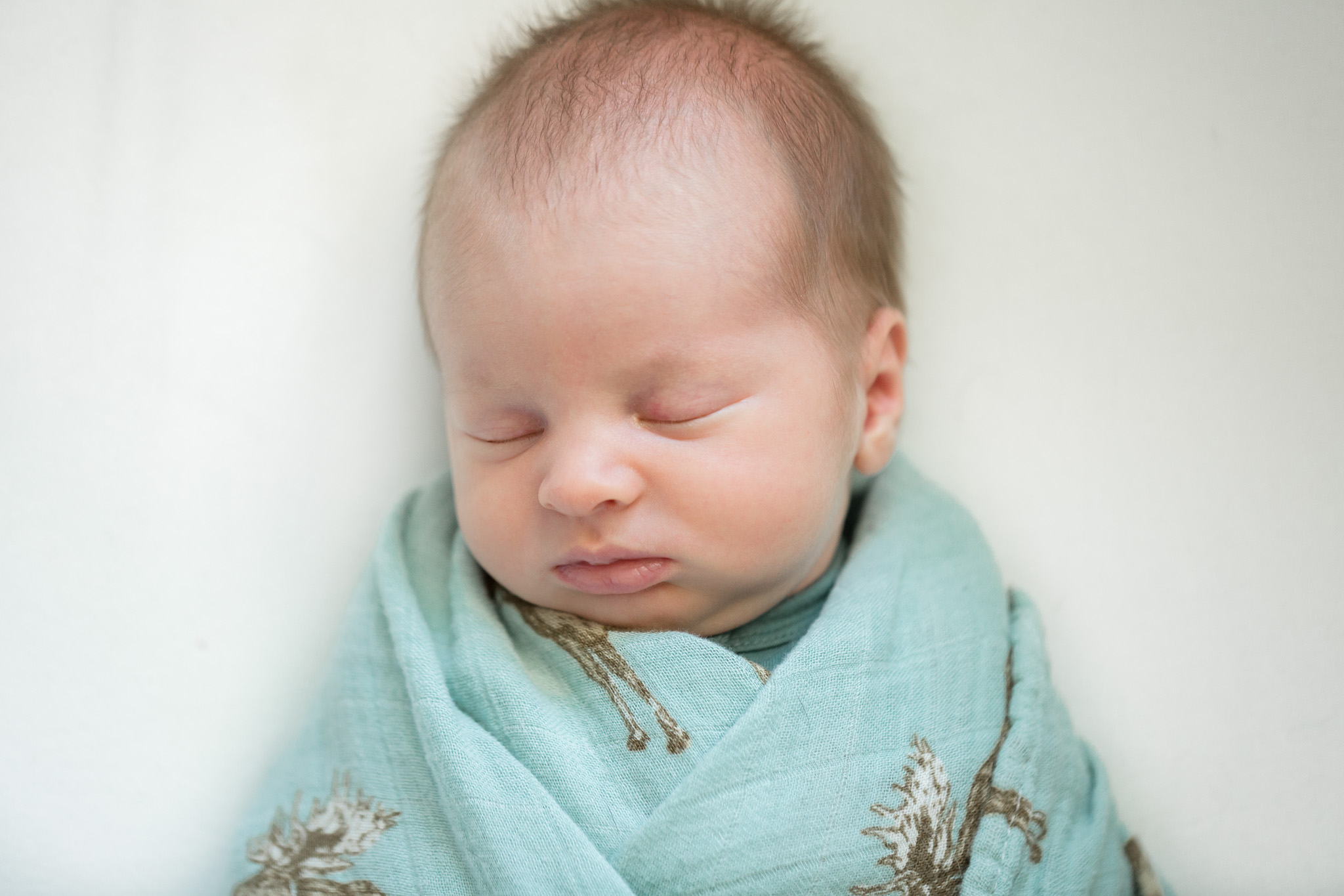 Fort Worth home newborn photographer