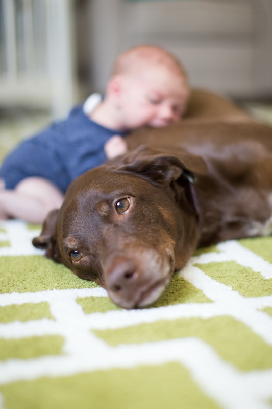 Fort Worth Photographer Newborn with Dog