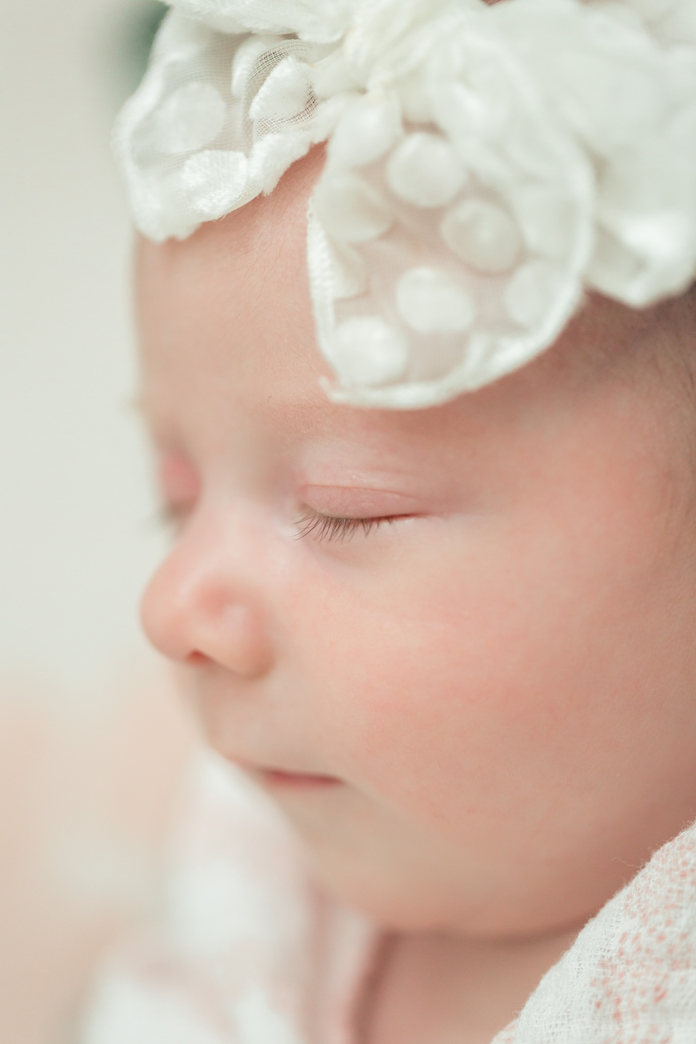 aledo newborn photographer